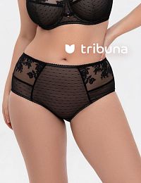 Трусы женские Tribuna TV6038-1538